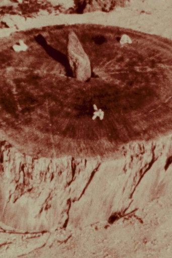 1978 Footages (1978)