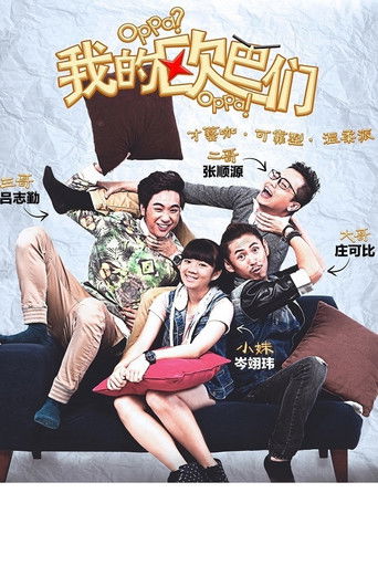 我的欧巴们 poster