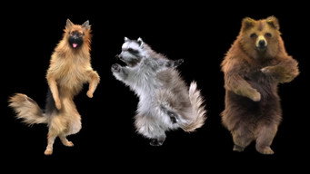 Animals: Drugs, Sex and Fun! (2025)