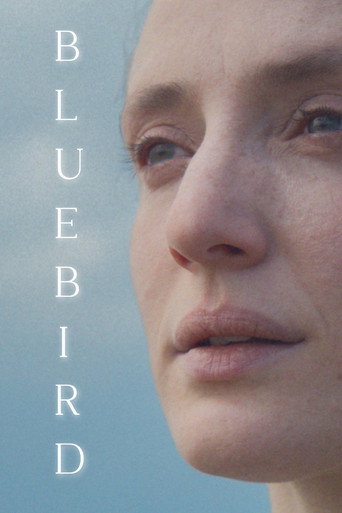 Cartell de Bluebird