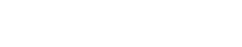 The Rook logo