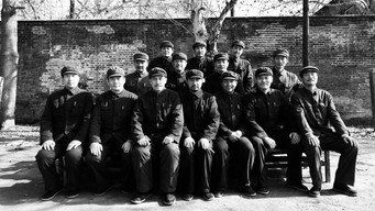 Amnesty 1959 (2019- )