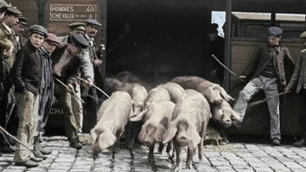Nous paysans (2021)