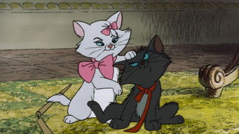 #38 Коти-аристократи
