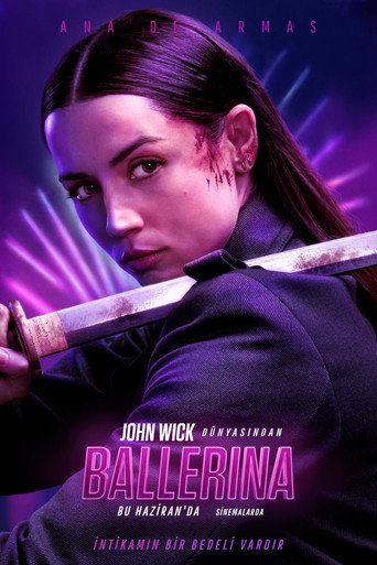 Poster 3