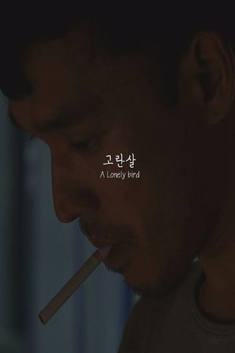 A Lonely bird (2015)