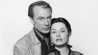 Dallas media image
