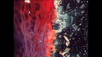 Arise Like a Fire (1972)