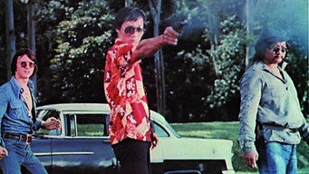Подвійна гра (1976)