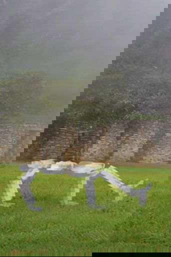 Llamas
