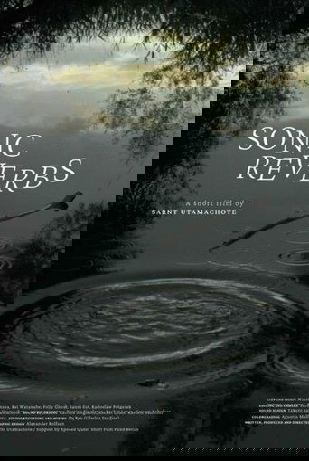 Sonic Reverbs