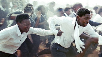 A Million Colours (2011)