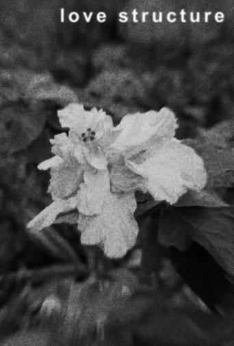 love structure
