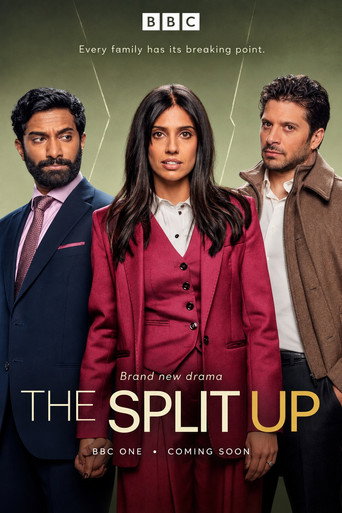 The Split Up poster