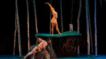 Enter the Faun (2015)