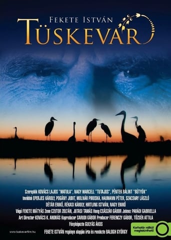 Poster of Tüskevár