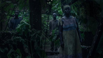 I Saw Three Black Lights (2024)