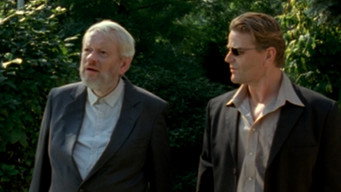 Turn Right by the Yellow Dog (2003)