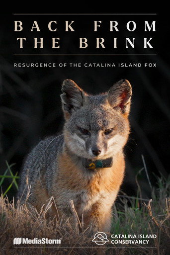 Back from the Brink: Resurgence of the Catalina Island Fox
