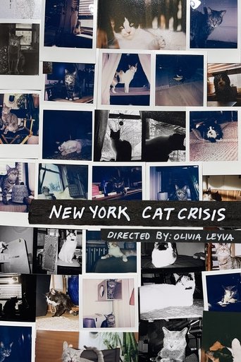 New York Cat Crisis (1970)
