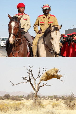 performing monuments poster