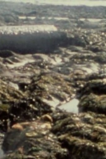 After the Bohlen (1976)