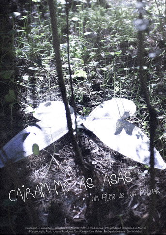 Caíram-me as Asas