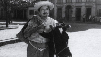 No Paraíso das Solteironas (1968)