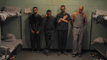 Stoic media image