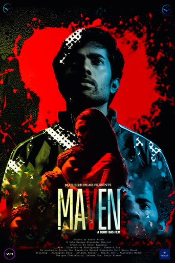 Maven galeri 6