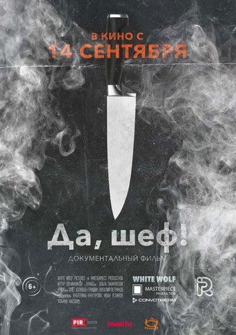 Да, Шеф! poster