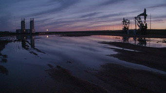 Nuuca media image