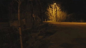 The Karadedeler Incident (2011)