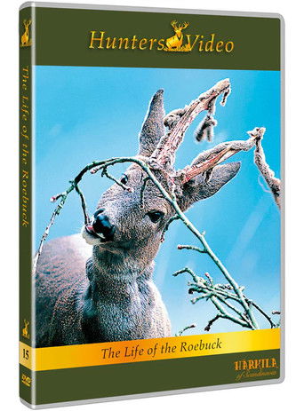 The Life of the Roebuck