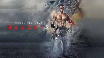 #17 Baaghi 2