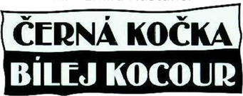 صورة من Crna mačka, beli mačor