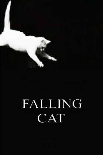 Poster för Falling Cat