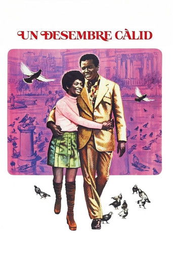 Cartell de Un desembre càlid
