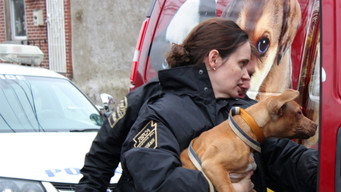 Philly Undercover (2012)
