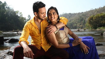 #4 Pottu