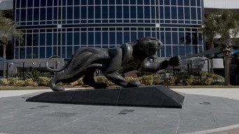 The Hunt (2020- )
