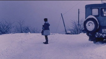 Boy (1969)
