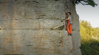 Climbers' Paradise is the Last Refuge for an Ancient Species