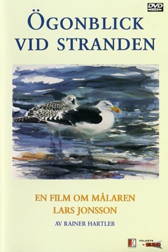 Ögonblick Vid Stranden Ögonblick Vid Stranden