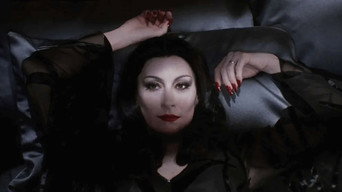 The Addams Family backdrop 6