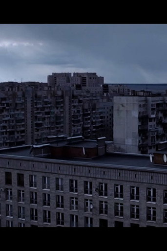 Trase (2015)