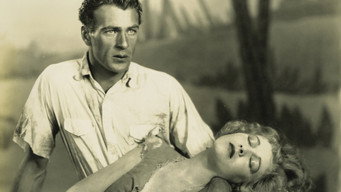 Half a Bride (1928)