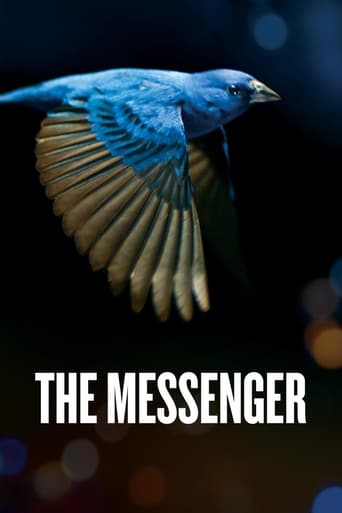 Poster för The Messenger