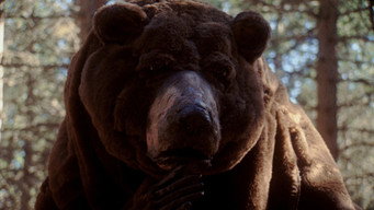 Oso media image
