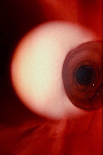 Uterus